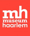 Moderator Museum Haarlem